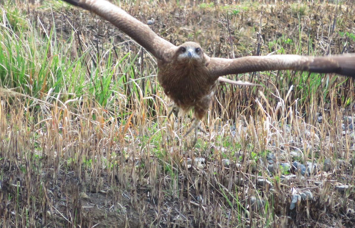 Free HTML5 Website Template